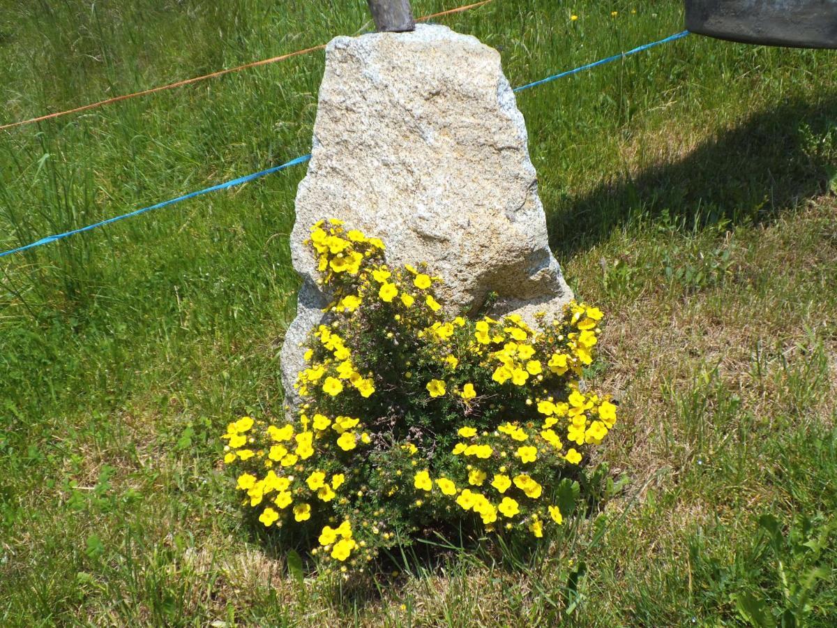 Steierhof Διαμέρισμα Feldthurns Εξωτερικό φωτογραφία